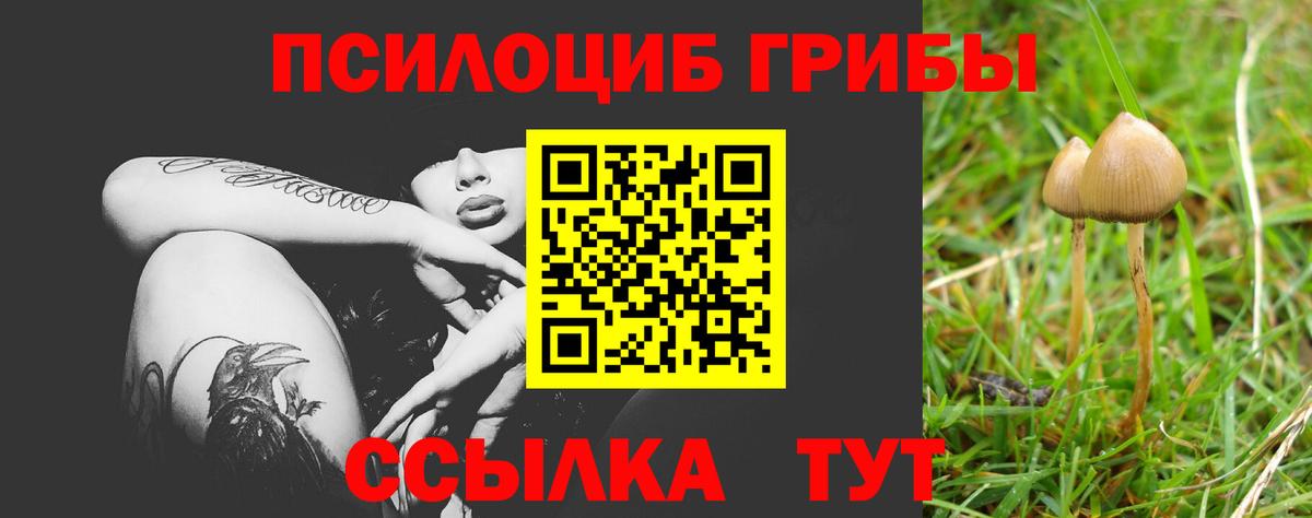 Стерлитамак  Псилоцибиновые грибы Psilocybine cubensis  Вход с VPN  Псилоцибиновые грибы Cubensis 
